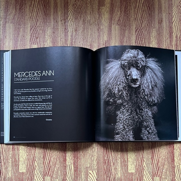 The Black Dogs Project by Fred Levy - Black Cover Edition - Picture 4 of 9